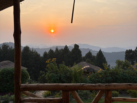 Piece of Uganda Safaris-恩德培必去景点