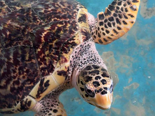 Fernando Tours-希克杜沃必去景点