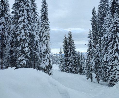 Naturpark Hotel Stefaner主图