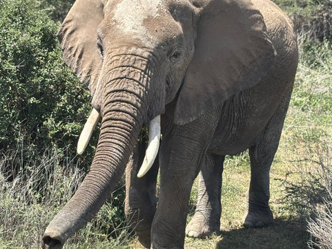 Good Earth Tours-阿鲁沙必去景点