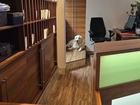 詹妮斯城堡酒店主图