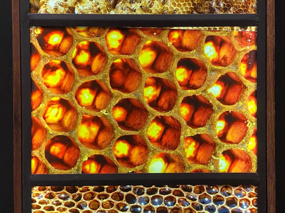 Muzeum Kultury Bartniczej-Augustow必去景点