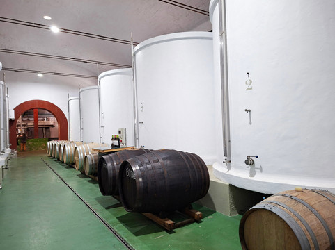 Bodegas Teneguia-Fuencaliente de la Palma必去景点