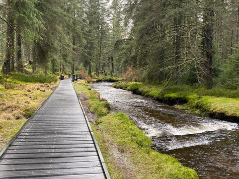 Hafren Forest-Llanidloes必去景点