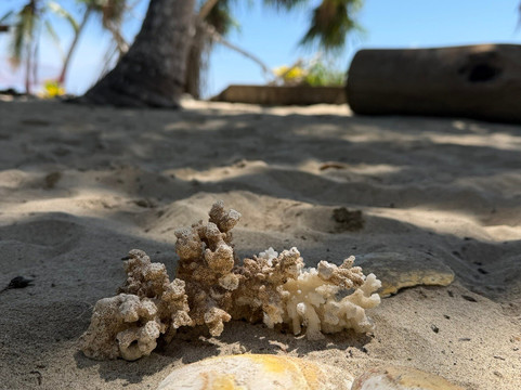 Premier Coiba Tours-Santa Catalina必去景点