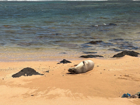船难海滩-拉奈市必去景点