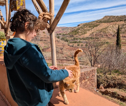 Wild Morocco-扎古拉必去景点