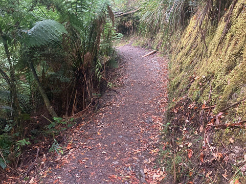 Hogarth Falls-斯特拉恩必去景点
