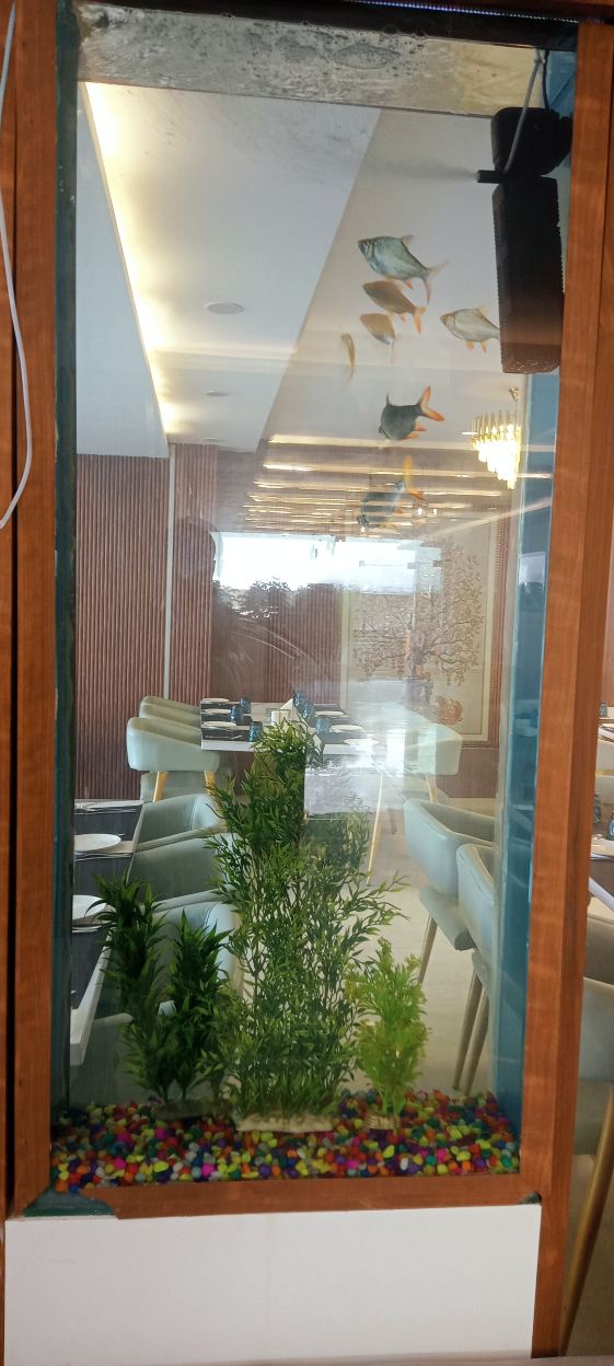 The Ecoxpress  Satva Varanasi-官方