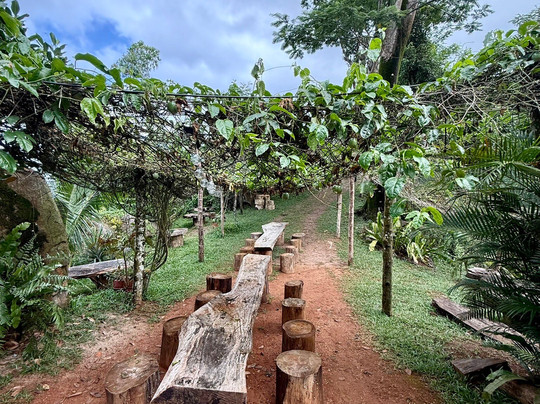 Vallée Des Fruits-大安塞区必去景点
