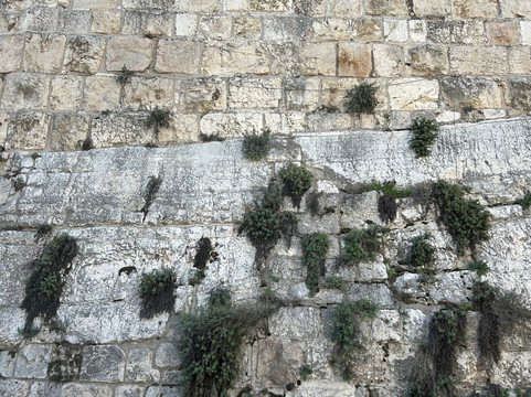 Daniel Rosenblum Tours-特拉维夫必去景点