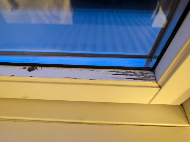 卡塞尔贝尔特酒店-客卧