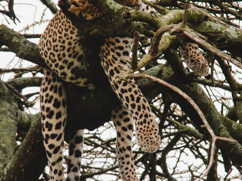 Great Escape Trails-莫西必去景点