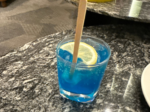 Plaza Premium Lounge-雪邦必去景点