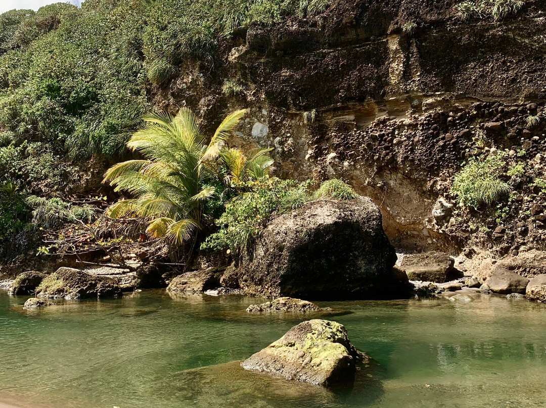 Number One Beach-Hampstead必去景点