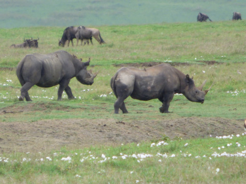 Tanzania-Experience-阿鲁沙必去景点