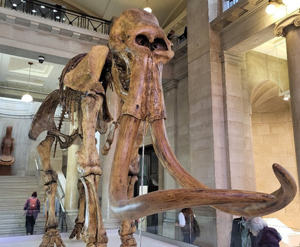 National Museum Cardiff-卡迪夫必去景点