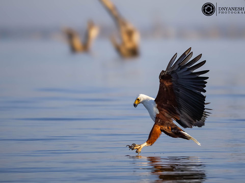 Scope Safaris-Thika必去景点