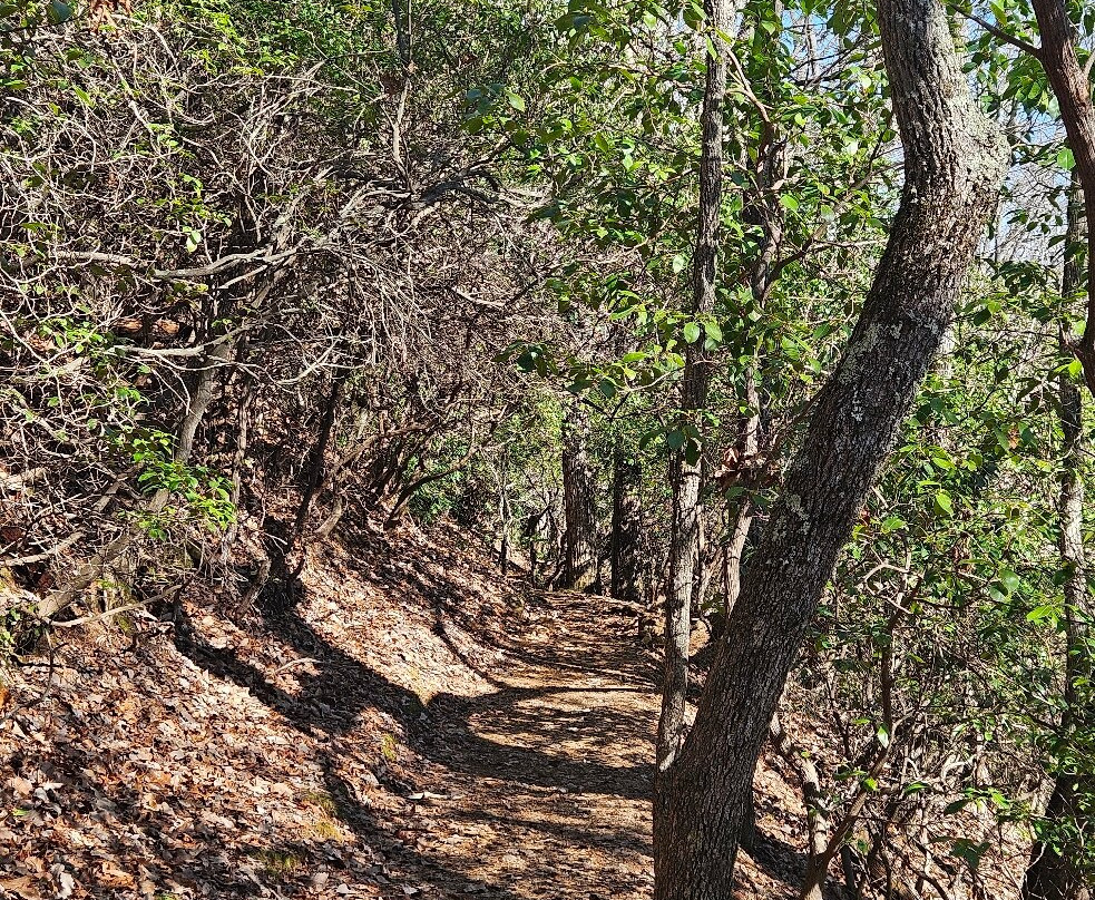 Blue Hole Falls-Hiawassee必去景点