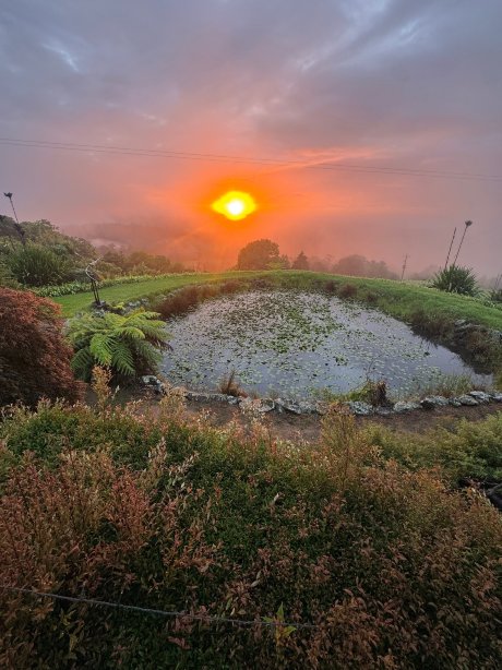赫山休闲酒店-官方