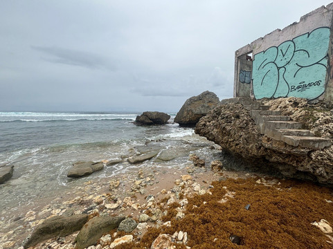Bathsheba Beach-Bathsheba必去景点