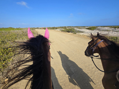 Horse Ranch Bonaire-Kralendijk必去景点
