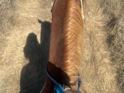 Cerritos Cowboy-Playa Cerritos必去景点