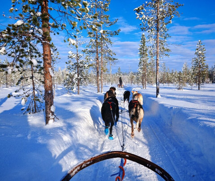 Maglelin Experience-Kittilä必去景点