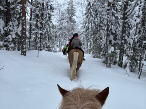 Ruska Laukka-库萨莫必去景点