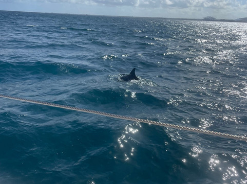 Vava Voom-巴拉克拉瓦必去景点