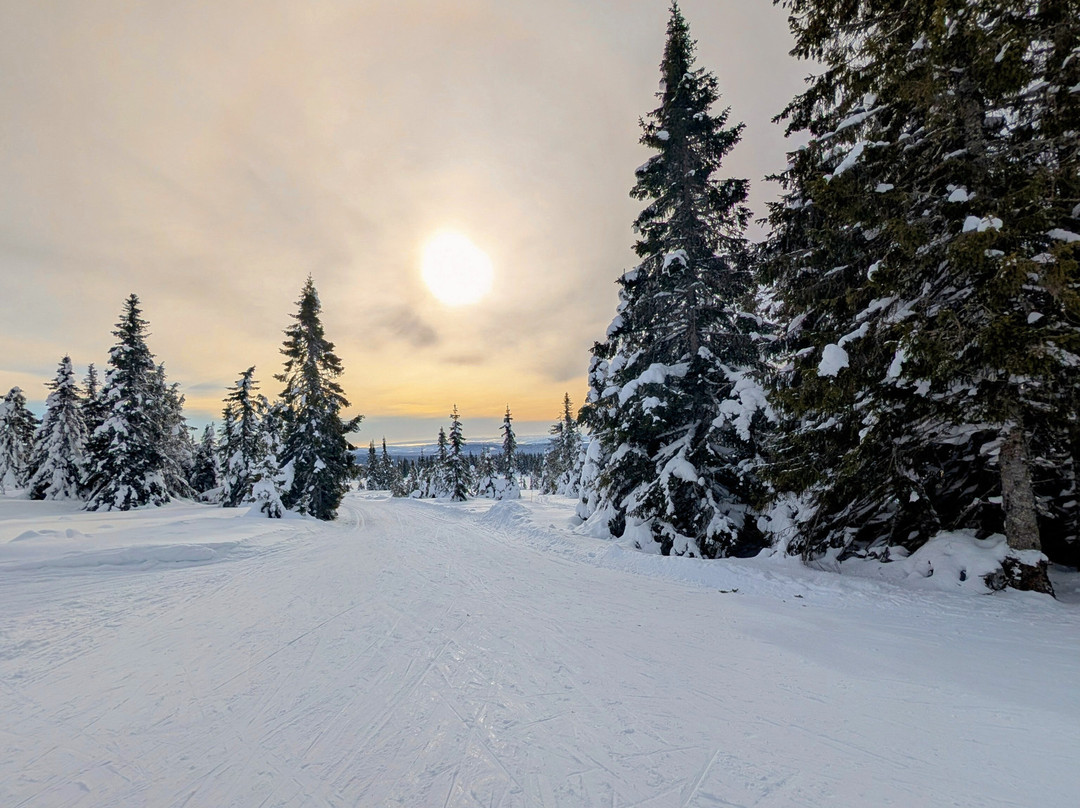 Aktiv I Natur Skiskole-利勒哈默尔必去景点