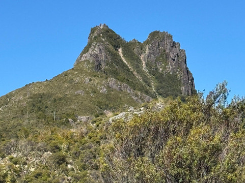 Kauaeranga Kauri Trail (Pinnacles Walk)-Thames必去景点