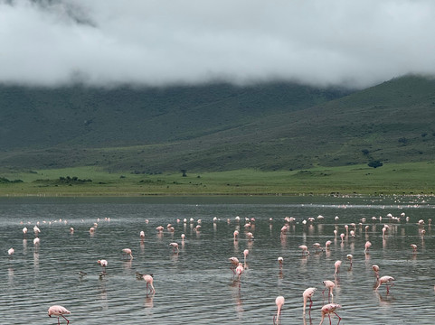 歌珊地非洲游猎之旅-阿鲁沙必去景点