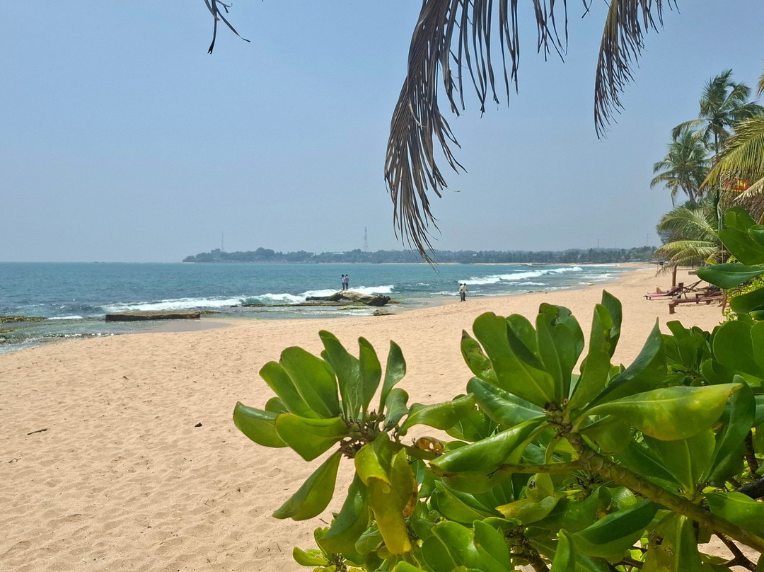 H Tour's Ceylon-Warakapola必去景点