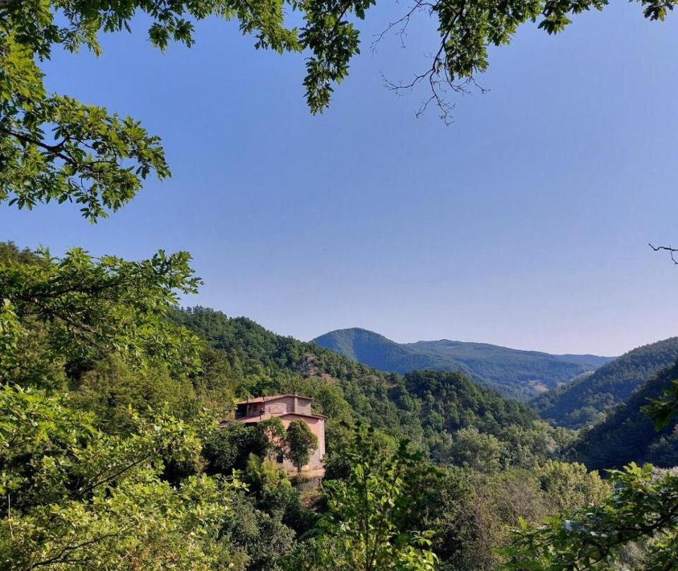 Vegan bed and breakfast Colle della luna