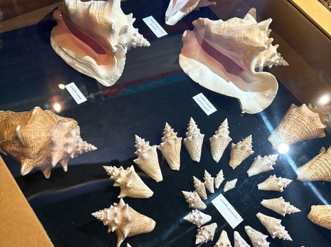 Le Musée de la Mer-Trois-Ilets必去景点