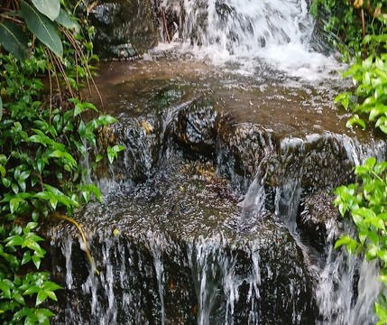 Stratford Butterfly Farm-埃文河畔斯特拉特福必去景点