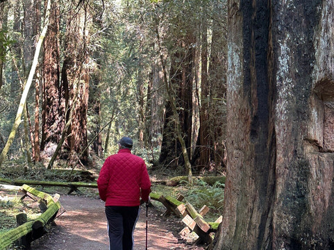 Armstrong Redwood State Reserve-Guerneville必去景点