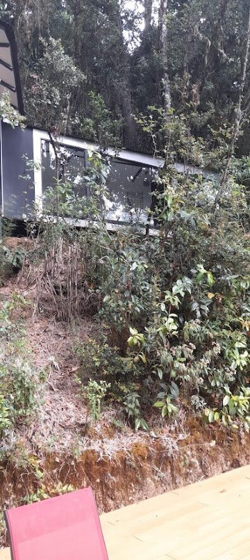 旦提卡云中森林旅社-官方