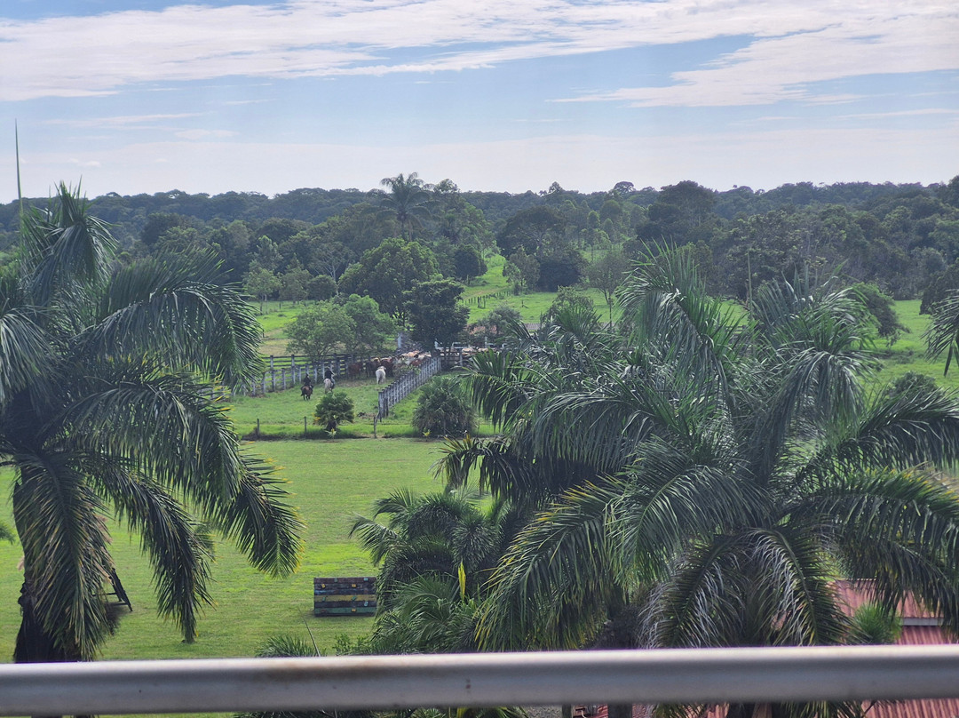 Hotel Rancho JJ