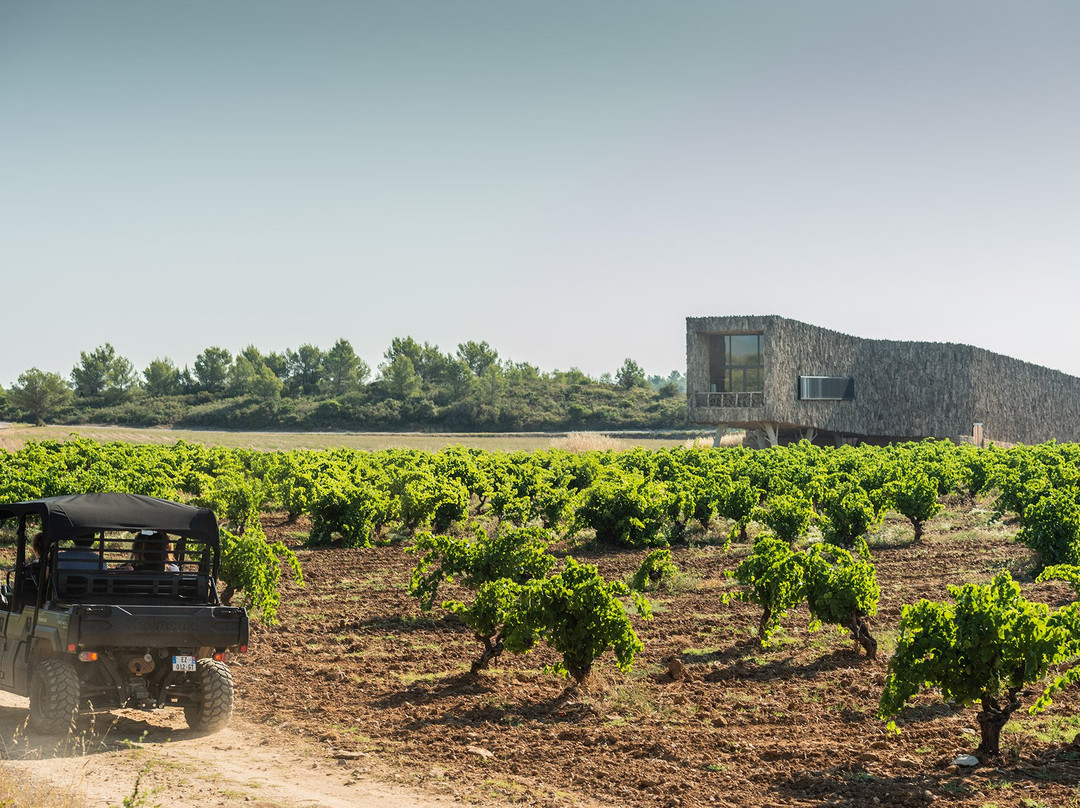 Cave De Château Castigno-Assignan必去景点