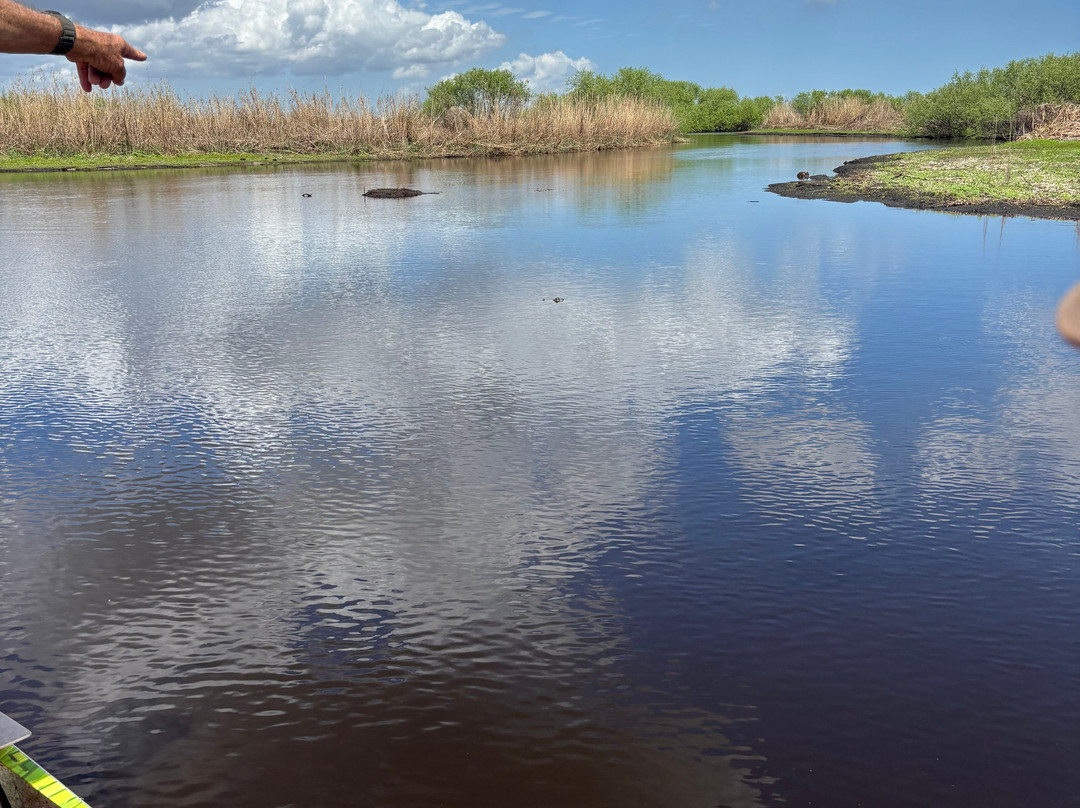 Airboat Rides Melbourne-墨尔本必去景点