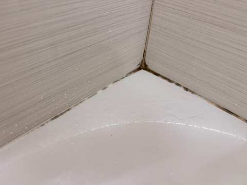 罗切斯特梅奥诊所南拉昆塔温德姆套房酒店主图