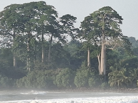 Tripafrica Tours-Tamale必去景点