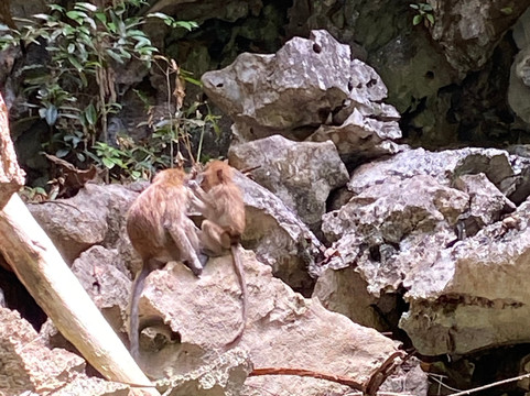 Amazing Canoeing-班巴克洛必去景点
