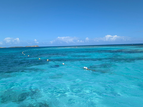 Stingray City-安提瓜必去景点
