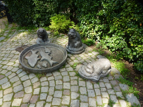 Square "Kotofeinya"-泽列诺格拉茨克必去景点