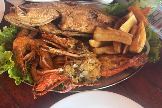 Praia De Ponta Grossa