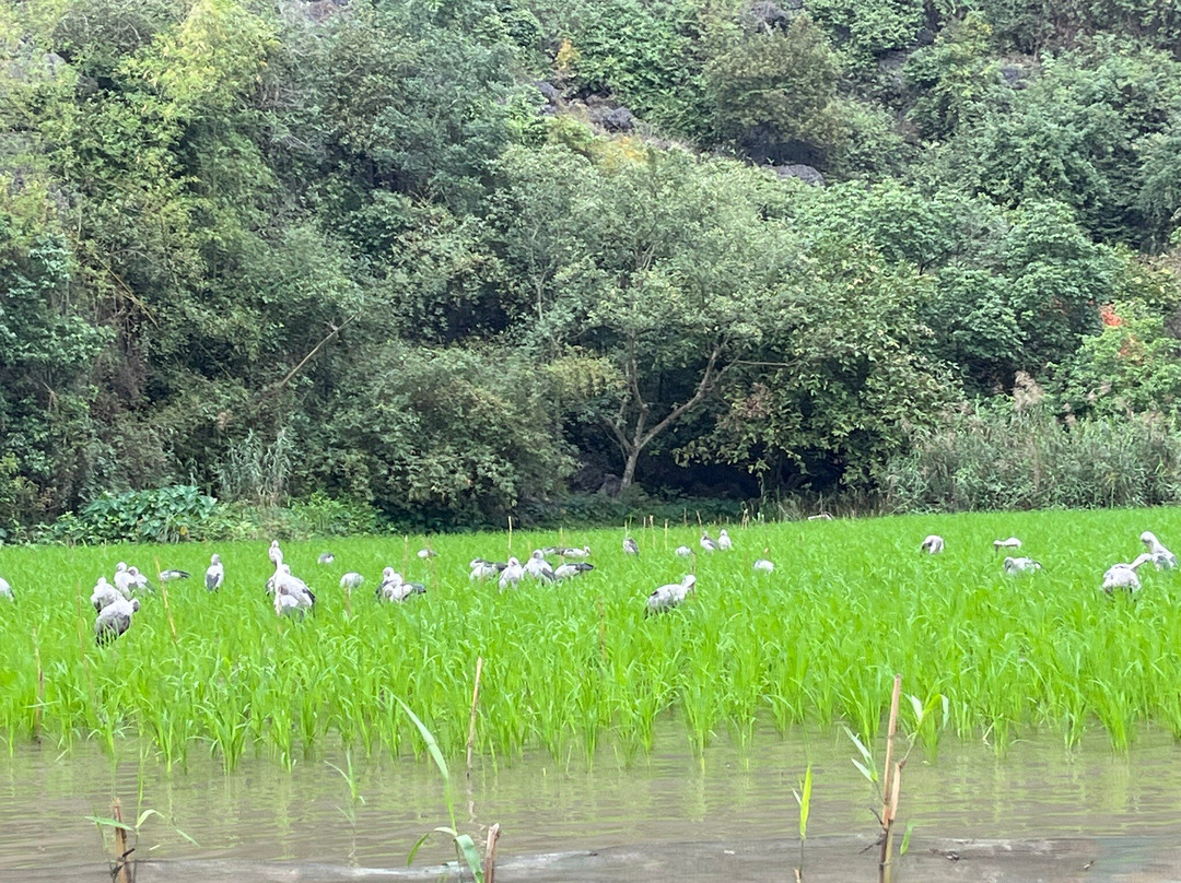 Tam Coc Tours - Ninh Binh Private Tour-宁平必去景点