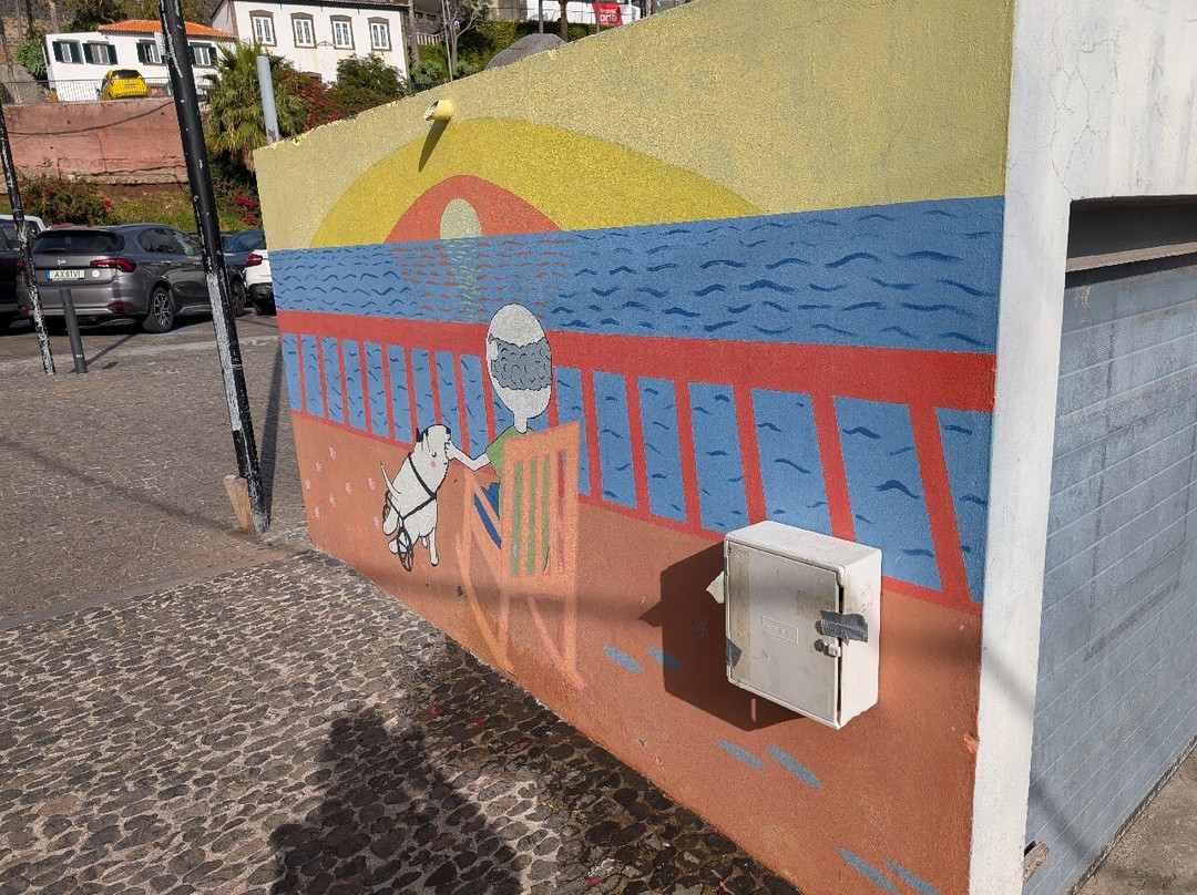 Baia de Camara de Lobos-Camara De Lobos必去景点